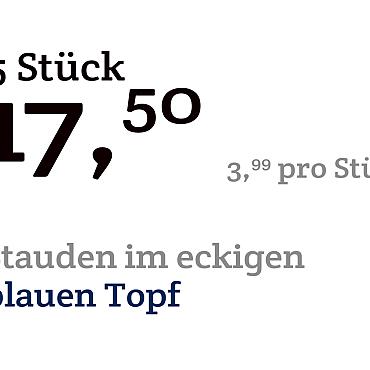 prijskaart 2022 Duits  - Stauden € 3,99 pro Stück - 5 Stück € 17,50