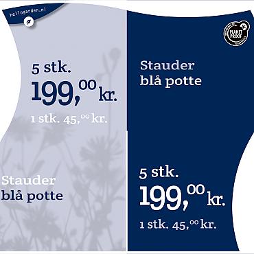 prijsmolen 2022 Deens Stauder blå potte 1 stk. 45,00kr. - 5 stk. 199,00k
