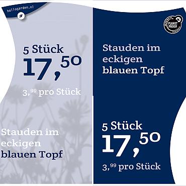 prijsmolen 2022 Duits - Stauden € 3,99 pro Stück - 5 Stück € 17,50