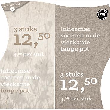 prijsmolen 2022 Nederlands  - <strong>Inheemse soorten 4,99 per stuk - 3 stuks 12,50</strong>