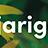 tafelbanner 2025 Nederlands - meerjarige planten