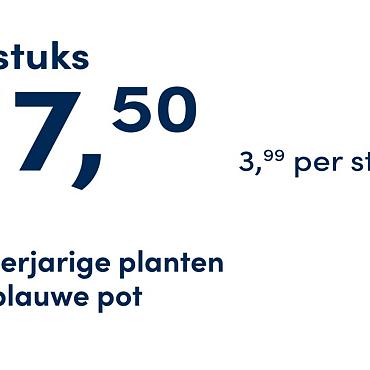 prijskaart 2025 Nederlands - blauwe pot 3,99 per stuk - 5 stuks 17,50