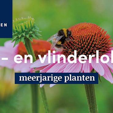 displaybord 2025 Nederlands - bijen- en vlinderlokkers