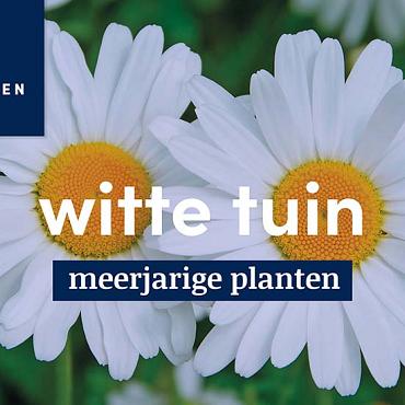 displaybord 2025 Nederlands - witte tuin