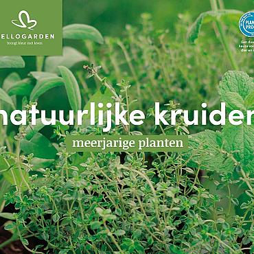 displaybord 2025 Nederlands - natuurlijke kruiden