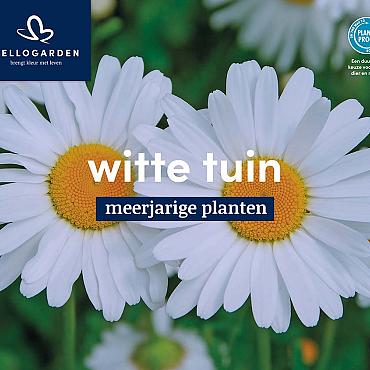 displaybord 2025 Nederlands - witte tuin