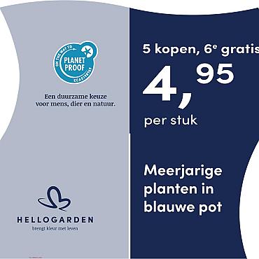 prijsmolen 2025 Nederlands - blauwe pot 4,95 per stuk - 5 kopen, 6e gratis