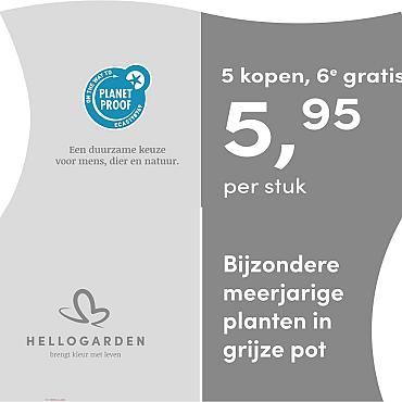 prijsmolen 2025 Nederlands - grijze pot 5,95 per stuk - 5 kopen, 6e gratis