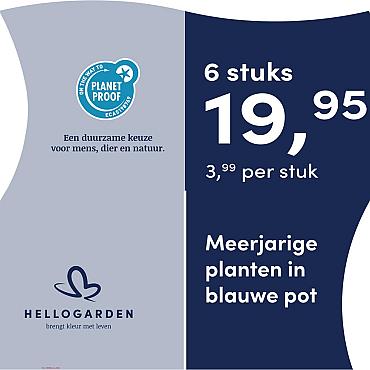prijsmolen 2025 Nederlands - blauwe pot 3,99 per stuk - 6 stuks 19,95