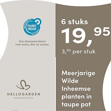 prijsmolen 2025 Nederlands - taupe pot 3,99 per stuk - 6 stuks 19,95