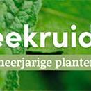 tafelbanner 2025 Nederlands - theekruiden