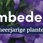 tafelbanner 2025 Nederlands - <strong>bodembedekkend</strong>