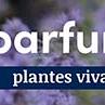 tafelbanner 2025 Frans - parfumé