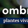 tafelbanner 2025 Frans - ombre