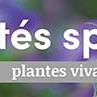 tafelbanner 2025 Frans - variétés speciales