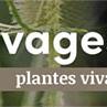 tafelbanner 2025 Frans - plantes sauvages et indigènes