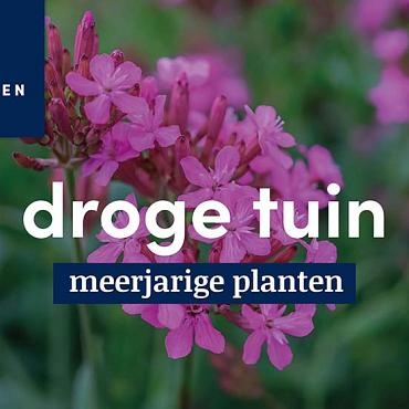 displaybord 2025 Nederlands - droge tuin