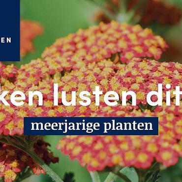 displaybord 2025 Nederlands - slakken lusten dit niet
