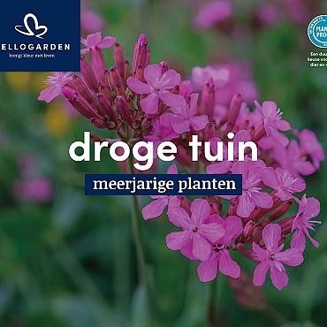 displaybord 2025 Nederlands - droge tuin