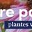 tafelbanner 2025 Frans - attire papillons