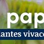 tafelbanner 2025 Frans - attire papillons