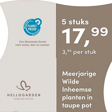 prijsmolen 2025 Nederlands - taupe pot 3,99 per stuk - 5 stuks 17,99