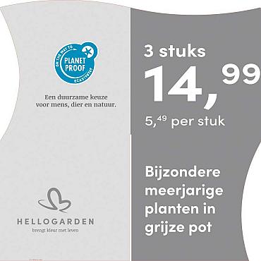 prijsmolen 2025 Nederlands - grijze pot 5,49 per stuk - 3 stuks 14,99