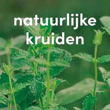 vlag 2025 Nederlands - natuurlijke kruiden