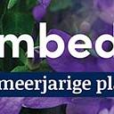 tafelbanner 2025 Nederlands - <strong>bodembedekkend</strong>
