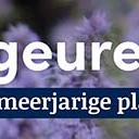 tafelbanner 2025 Nederlands - <strong>geurend</strong>
