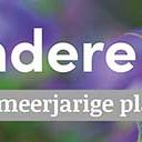 tafelbanner 2025 Nederlands - bijzondere soorten