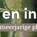 tafelbanner 2025 Nederlands - wild en inheems