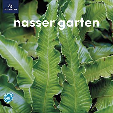 zeildoek 2025 Duits - nasser garten