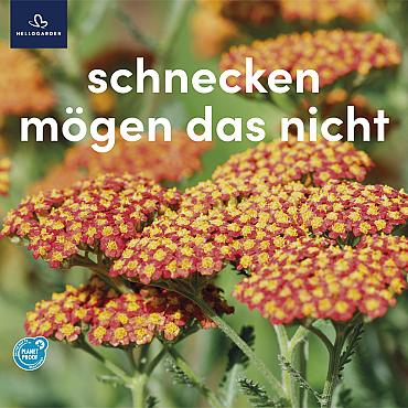 zeildoek 2025 Duits - schnecken mögen das nicht