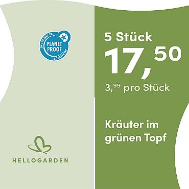prijsmolen 2025 Duits - grünen Topf 3,99 pro Stück - 5 Stück 17,50