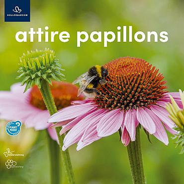 zeildoek 2025 Frans - attire papillons