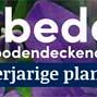 tafelbanner 2025 Nederlands-Duits - bodembedekkend | bodendeckend