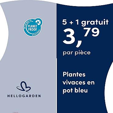 prijsmolen 2025 Frans - pot bleu 3,79 par pièce - 5 + 1 gratuit
