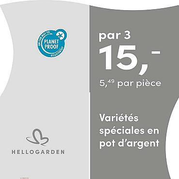 prijsmolen 2025 Frans - pot d'argent 5,49 par pièce - par 3 € 15,-