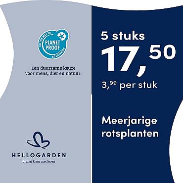 prijsmolen 2025 Nederlands - blauwe pot 3,99 per stuk - 5 stuks 17,50