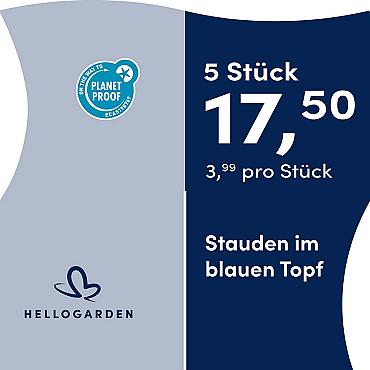 prijsmolen 2025 Duits - blauen Topf 3,99 pro Stück - 5 Stück 17,50
