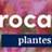 tafelbanner 2025 Frans - rocailles