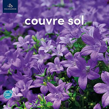 zeildoek 2025 Frans - couvre sol