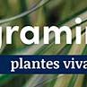 tafelbanner 2025 Frans - graminés