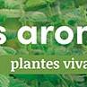 tafelbanner 2025 Frans - herbes aromatiques