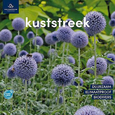 zeildoek 2025 Nederlands - kuststreek
