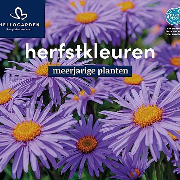 displaybord 2025 Nederlands - herfstkleuren