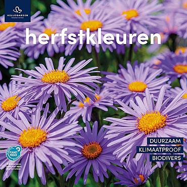 zeildoek 2025 Nederlands - herfstkleuren