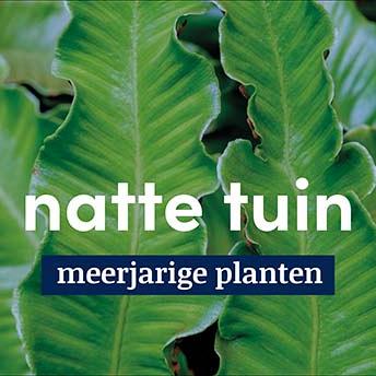 displaybord 2025 Nederlands - natte tuin