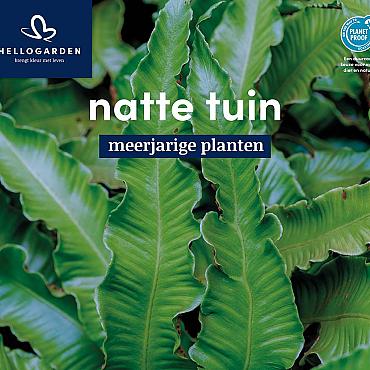 displaybord 2025 Nederlands - natte tuin